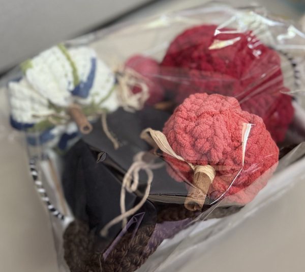 Handmade Crochet Fall Pumpkin Decorations (1)