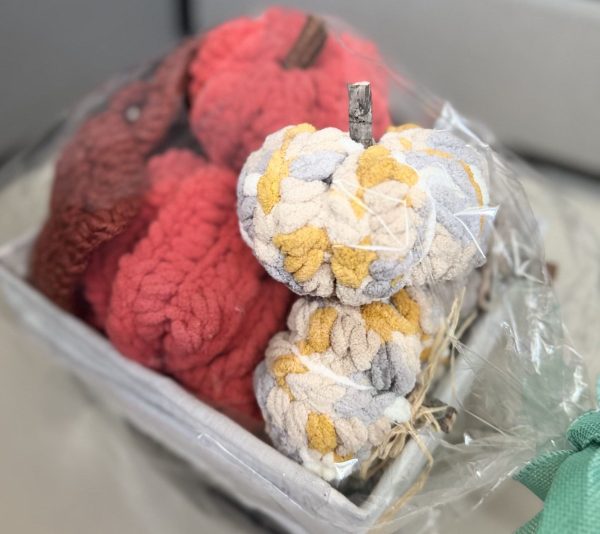 Handmade Crochet Fall Pumpkin Decorations (2)