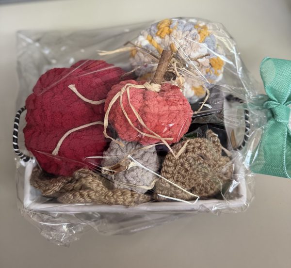 Handmade Crochet Fall Pumpkin Decorations (3)